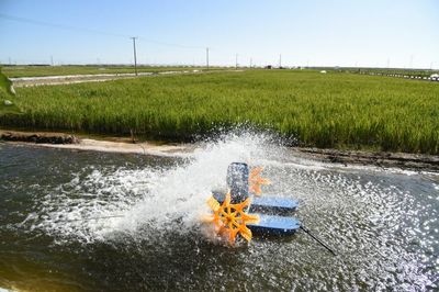 巴彥淖爾:淘盡黃沙綠生金